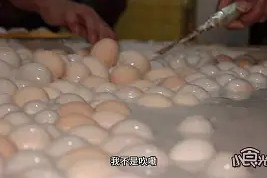 b邜艌'裹-3377体育